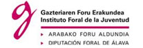 Gazteriaren Foru Erakundea
