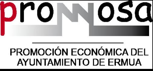 Promoci&oacute;n Econ&oacute;mica de Ermua, S.A.U.